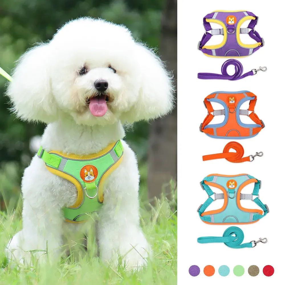 No Pull Dog Harness: Small Dogs & Puppies, Lightweight, Reflective, Escape-Proof