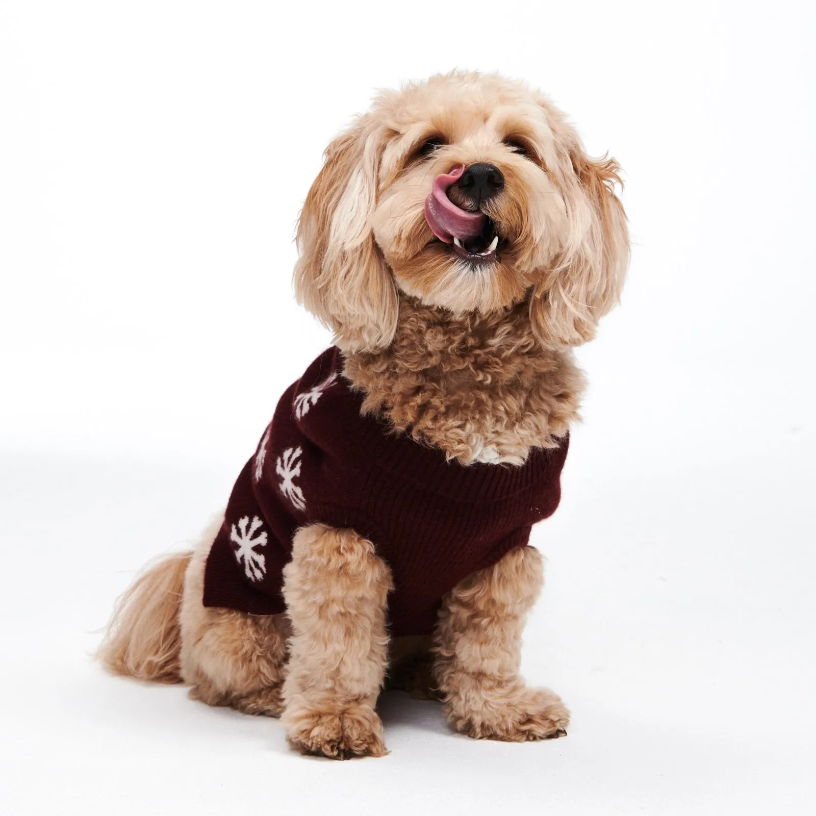 Reversible Cashmere Snowflake Dog Sweater