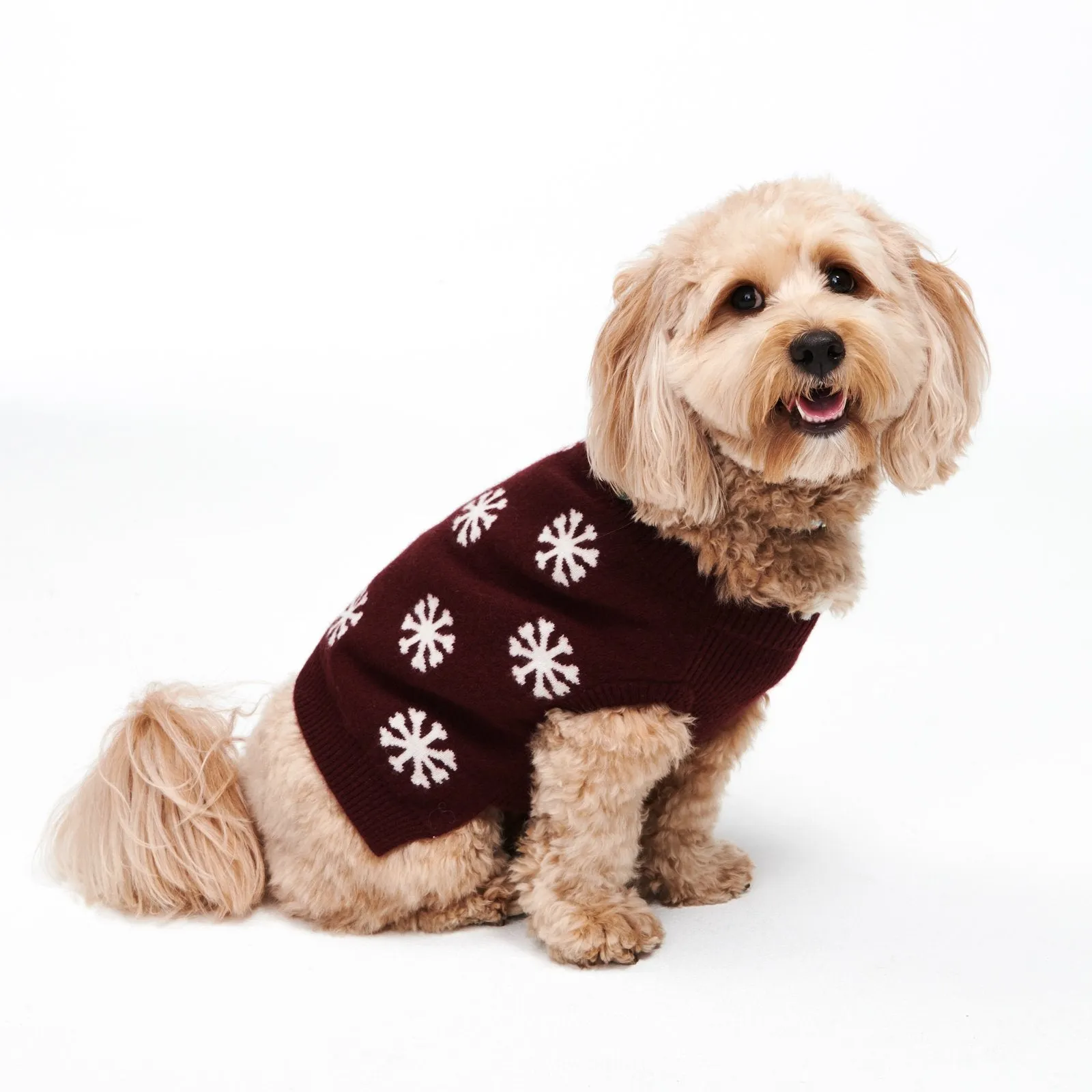 Reversible Cashmere Snowflake Dog Sweater