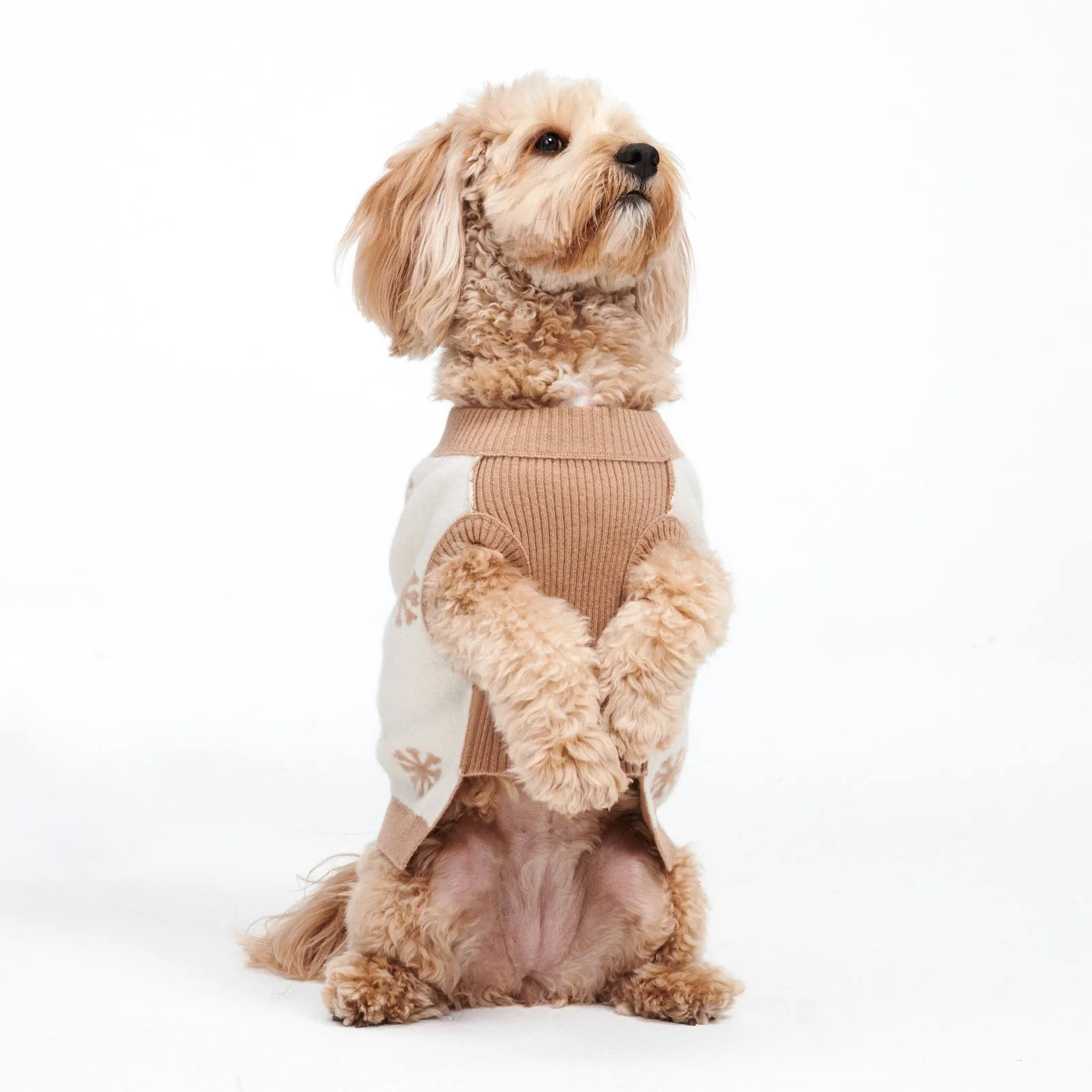 Reversible Cashmere Snowflake Dog Sweater