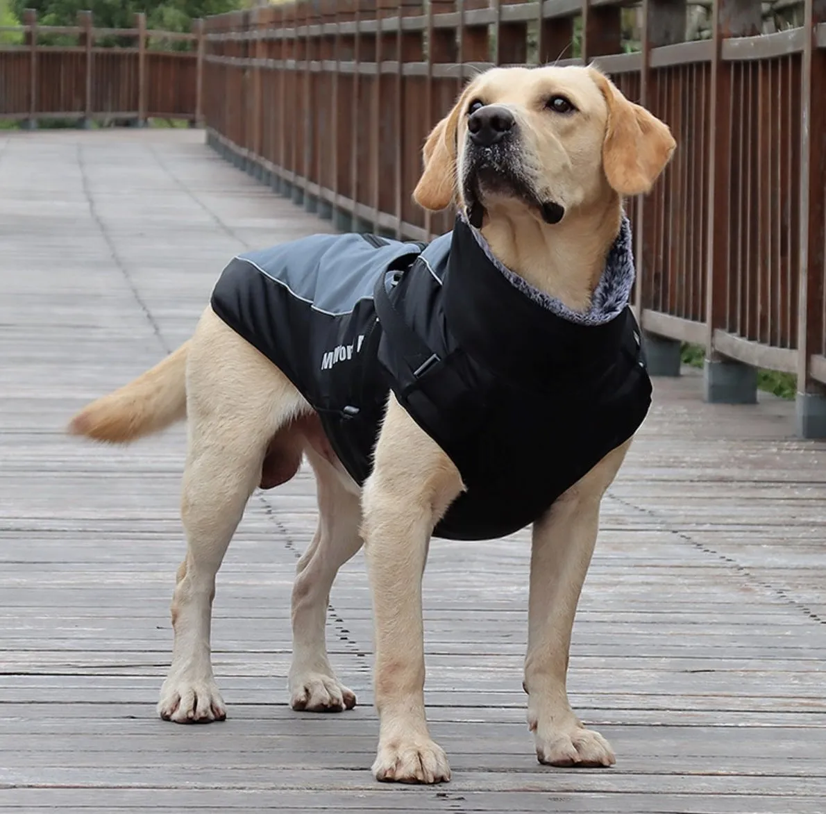 Waterproof Winter Thick Dog Coat With Harness