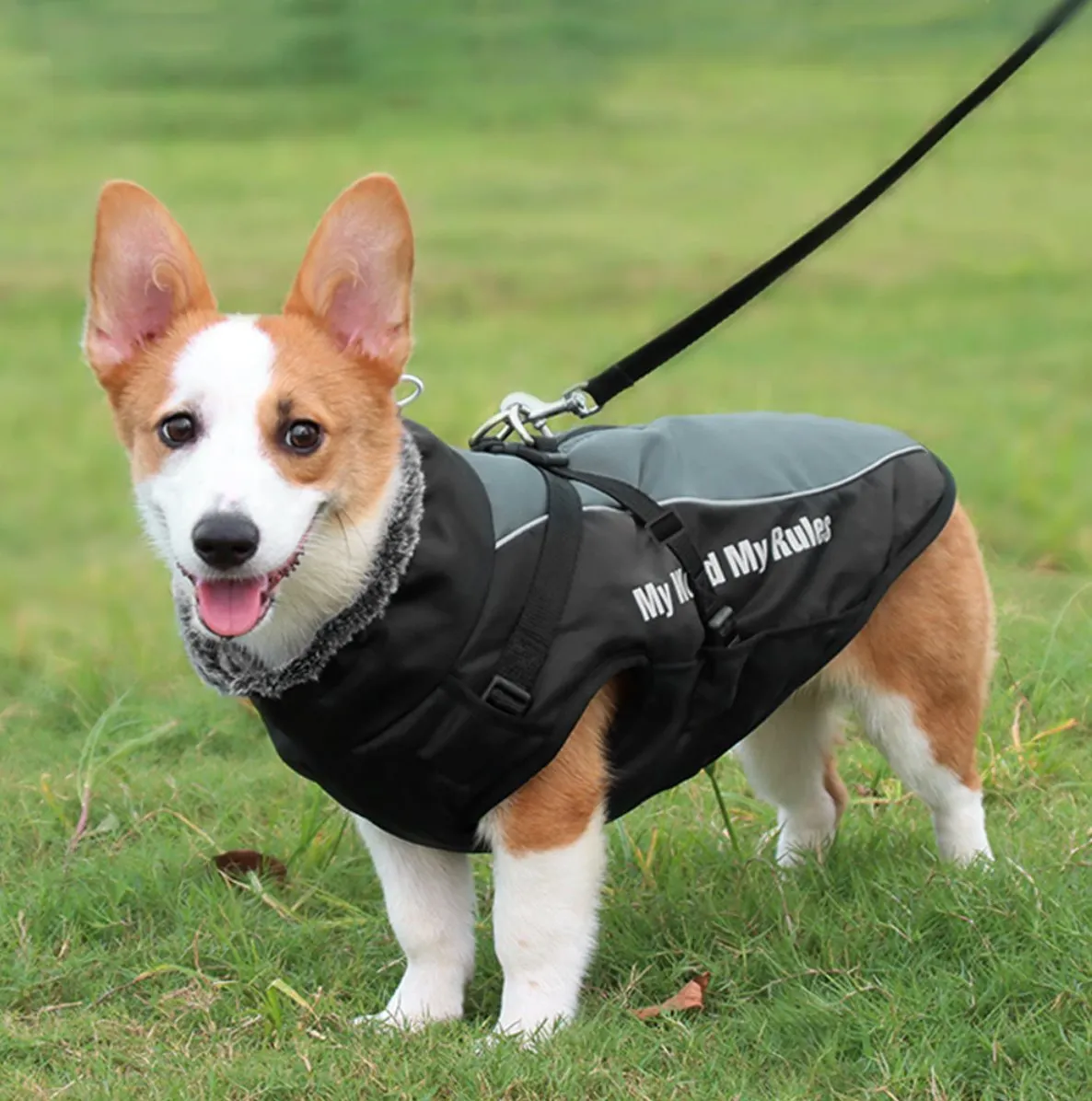 Waterproof Winter Thick Dog Coat With Harness